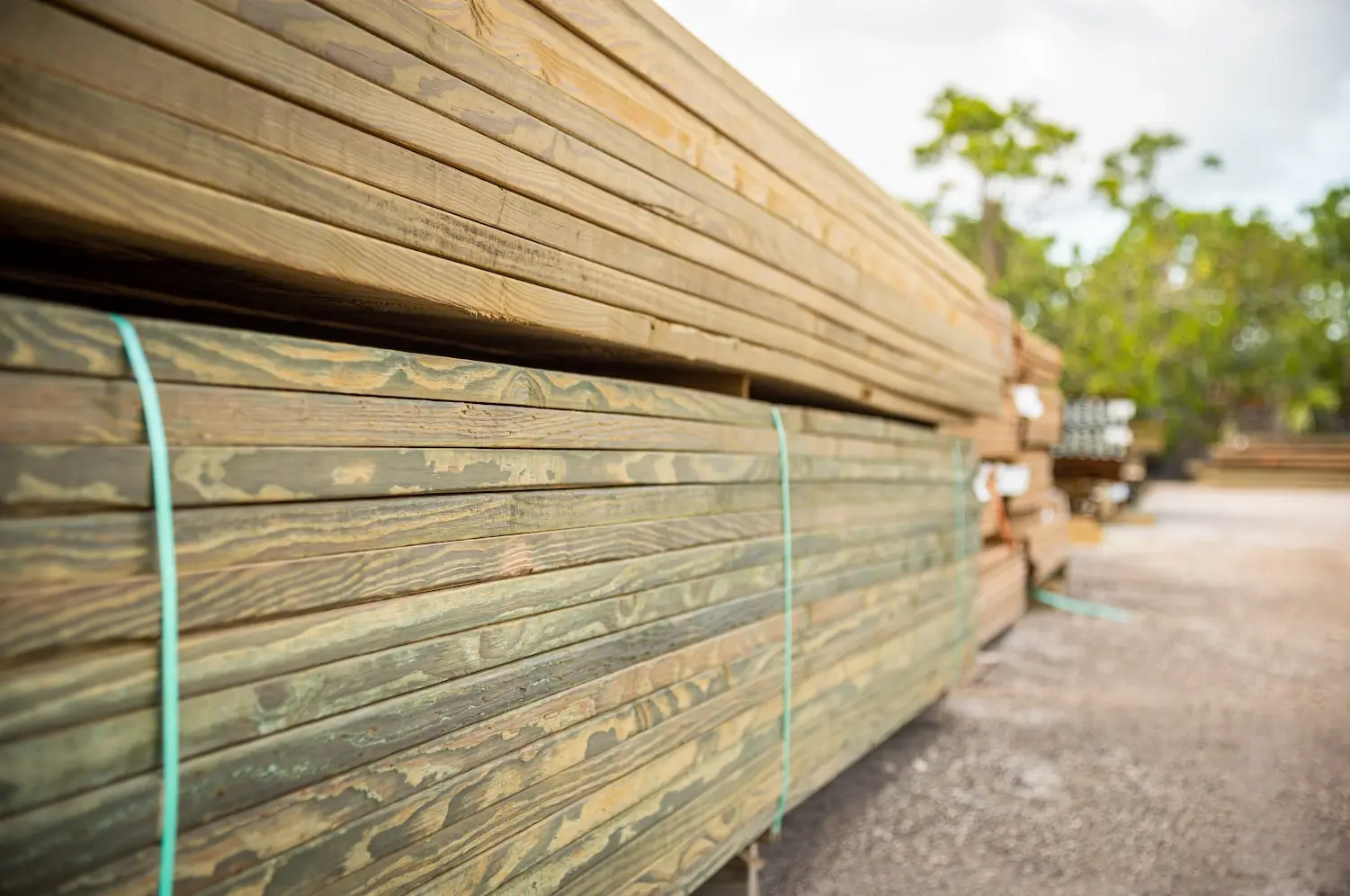 lumber yard. learn more about harbor exports today