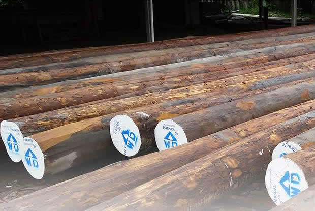 greenheart wood pilings